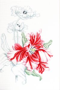 b2241 - Красный тюльпан