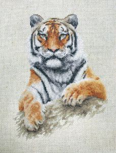 b2289 - Тигр