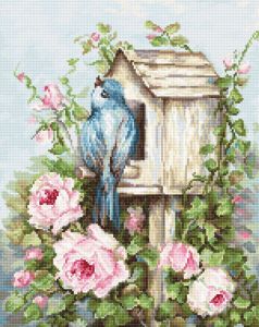 B2352 - Птичий дом и розы