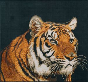 b334 - Тигр
