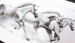 b495 - Белые лошади