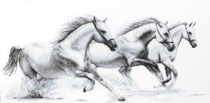 b495 - Белые лошади