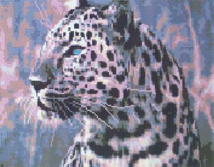b589 - Леопард