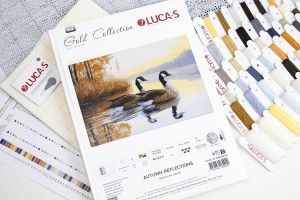 b728 - Осенние размышления