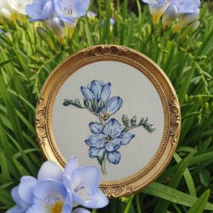 bc8112 - Фрезия