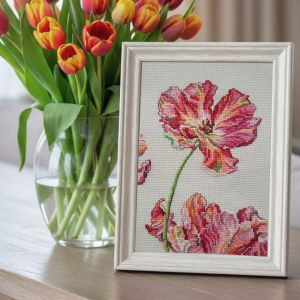 bc8113 - Тюльпан