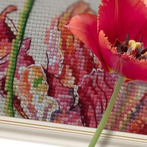 bc8113 - Тюльпан