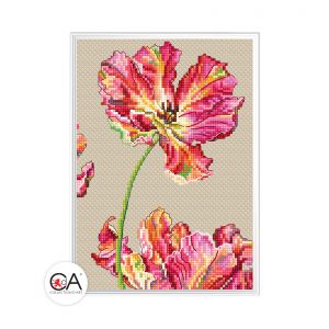 bc8113 - Тюльпан