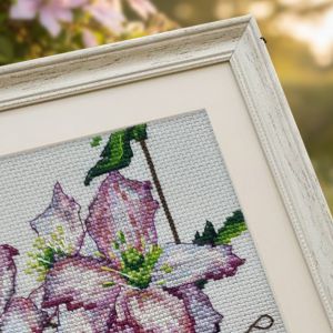 bc8114 - Клематис