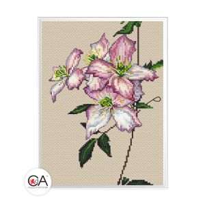 bc8114 - Клематис