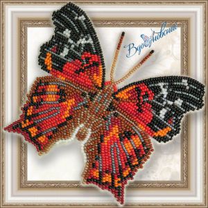 BGP-047 - Hypanartia Kefersteini