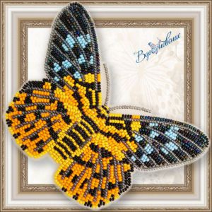 BGP-066 - Dysphania militaris