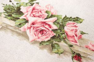 bl22400 - Розовые розы
