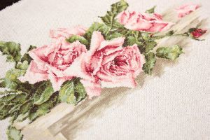 bl22400 - Розовые розы
