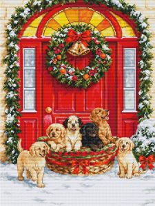 bu5102 - Доставка Санты