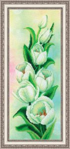 ц-022 - Белые тюльпаны