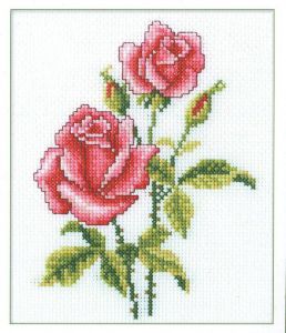 c185 - Розы