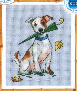 c300 - Будем бегать мы по лужам…