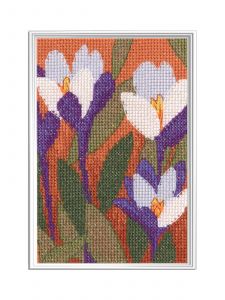c446 - Откровение цвета