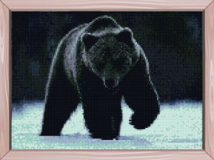 c597 - Бурый медведь