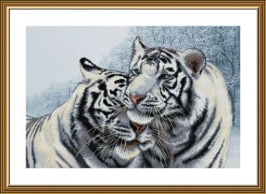 CB3222 - Бенгальские тигры
