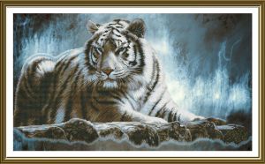 CP2242 - Амурский тигр