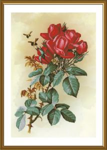 CP6244 - Роза красная