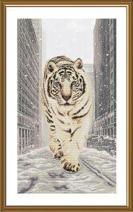 CP6249 - Снежный тигр