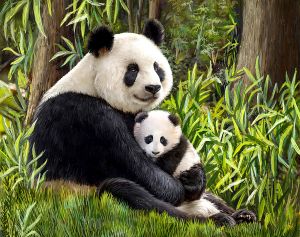 DE7131 - Мама панда