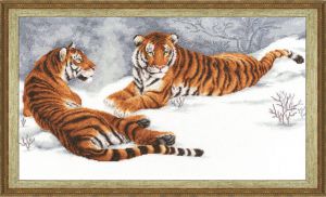 дж-020 - Амурские тигры