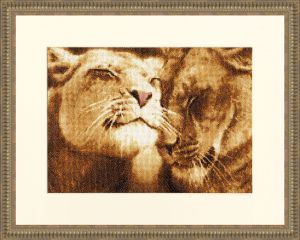 дж-028 - Влюблённые львы