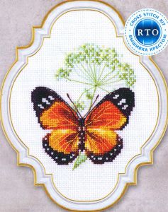 eh365 - Цветок тмина и бабочка