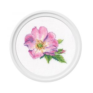 eh383 - Шиповник