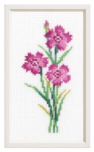 eh386 - Гвоздика