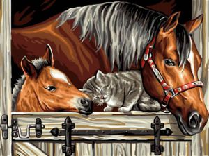 ex5284 - Котёнок и лошади