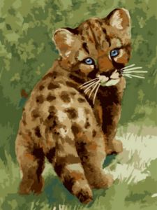 ex5801 - Маленький леопард