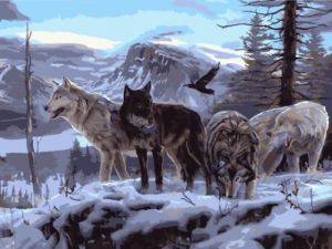 ex5806 - Волчья стая на скале