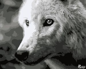 F011-уценка - Белый волк (Уценка)
