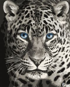 F012 - Голубоглазый леопард