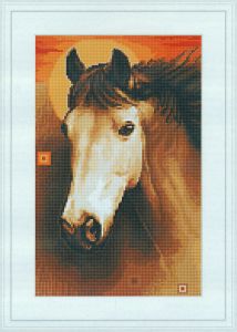 g509 - Лошадь