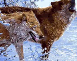 gx3577 - Зимние волки