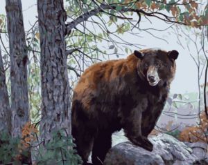 gx5184 - Бурый медведь