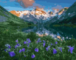 gx5696 - Нежные цветы среди гор