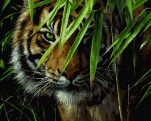 gx7418 - Тигр в джунглях