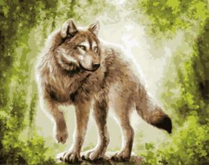 gx9552 - Белый волк
