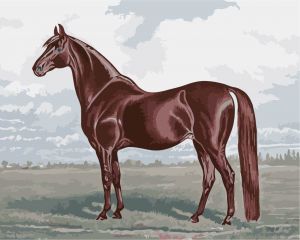 H006 - Бархатный конь
