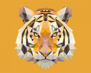 H010 - Тигр