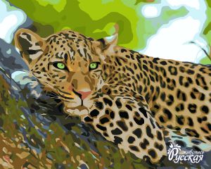 H018-уценка - Леопард (Уценка)