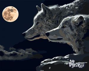 H022 - Волки