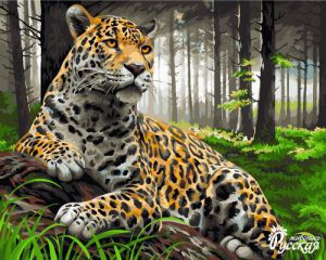 H072 - Леопард в лесу